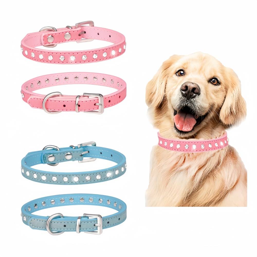 Colliers pour chats et chiens en diamantBleu M IntiMeg - Image 6
