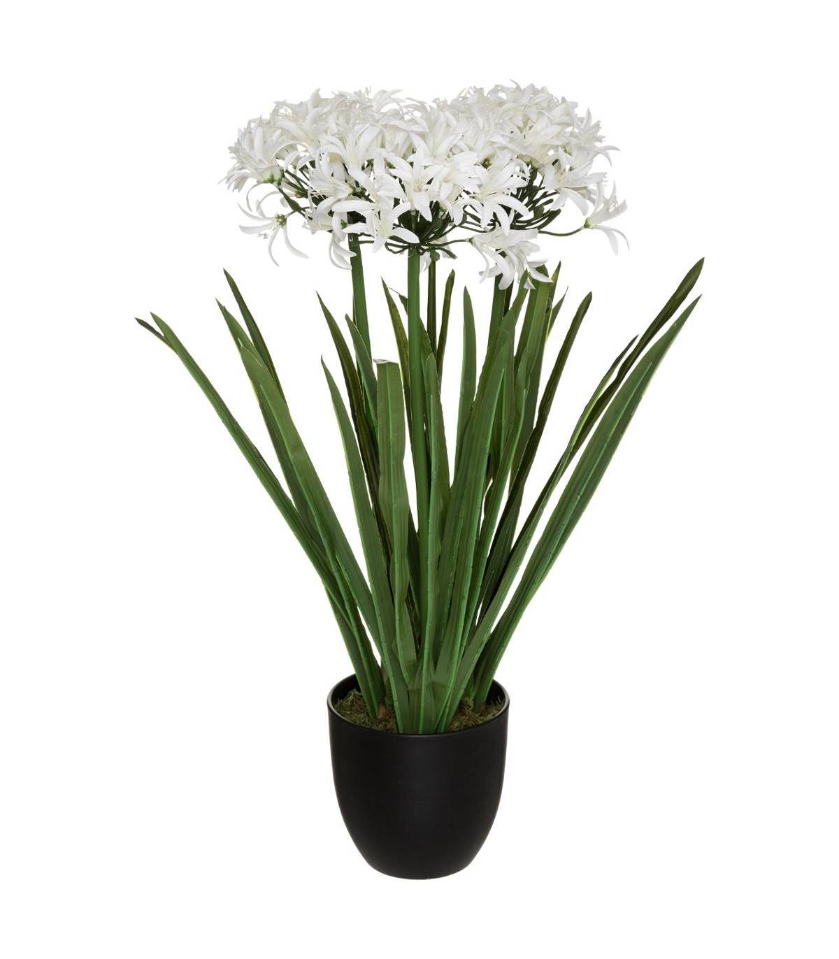 Plante artificielle Agapanthe en pot  H 66 cm - Image 1