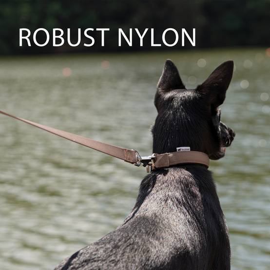 Ferplast - Ferplast laisse pour chien Daytona, laisse pour chien taille petite, 200 cm, laisse de dressage avec poignée rembourrée confortable et mousqueton en - Image 6