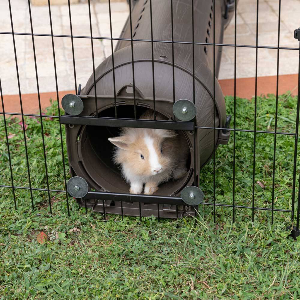 Ferplast - Ferplast Enclos Lapin FREERUN MEDIUM, Lapins, Cochon d'Inde, Cloture, Enclos pour Lapins, Animaux Domestiques, Diamètre 140 x 76,5 cm, avec Poignées - Image 5