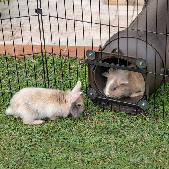 Ferplast - Ferplast Enclos Lapin FREERUN MEDIUM, Lapins, Cochon d'Inde, Cloture, Enclos pour Lapins, Animaux Domestiques, Diamètre 140 x 76,5 cm, avec Poignées - Image 4