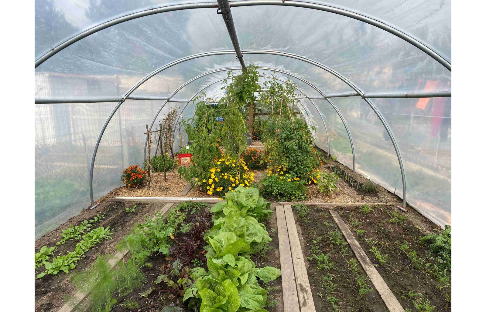 Serre tunnel de jardin - 32m² - 4 x 8 m - Abri Légumes - pieds arrondis - polyéthylène haute densité - 2 portes pivotantes - LES SERRES TONNEAU - Image 6