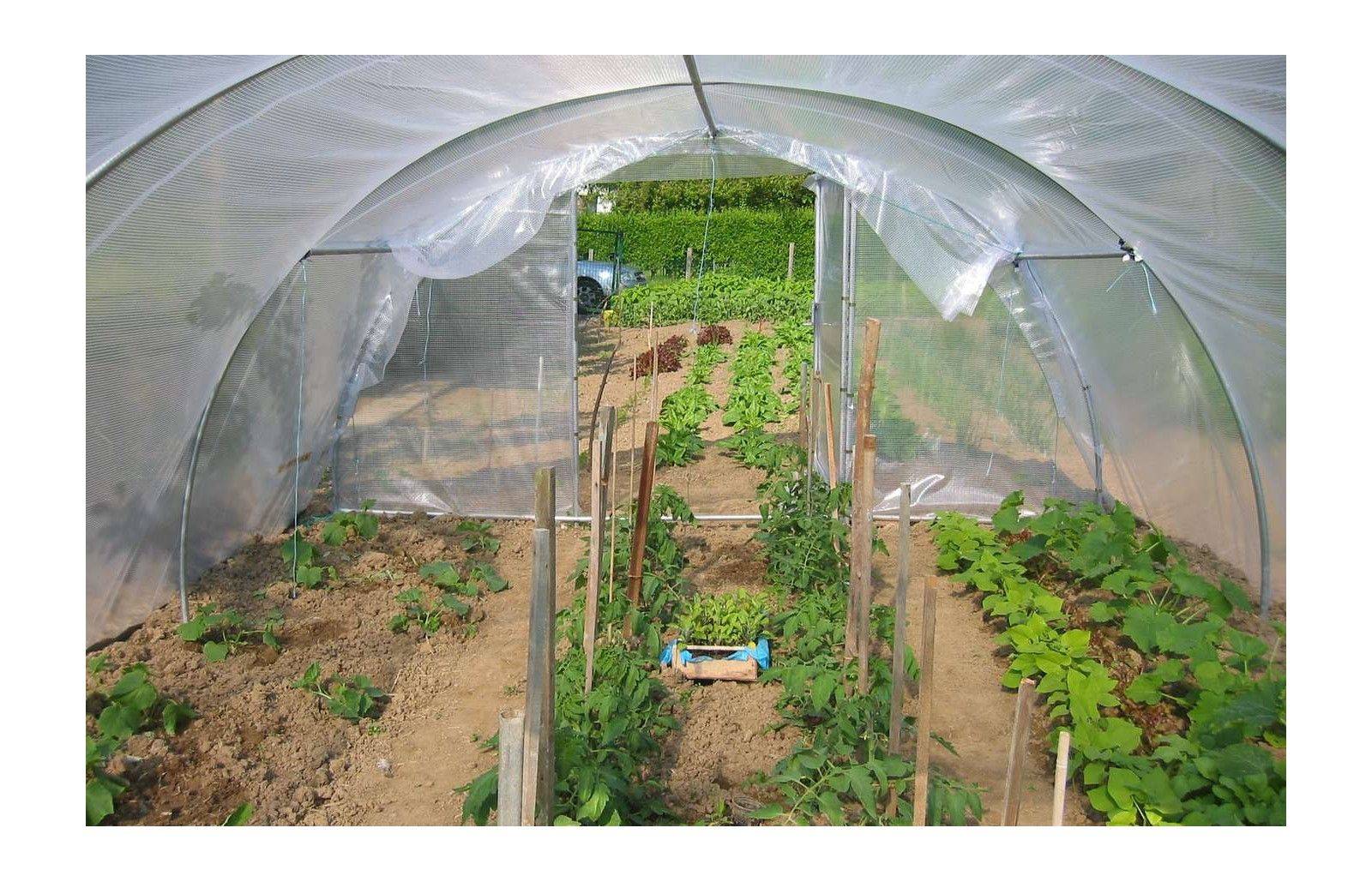 Serre tunnel de jardin - 32m² - 4 x 8 m - Abri Légumes - pieds arrondis - polyéthylène haute densité - 2 portes pivotantes - LES SERRES TONNEAU - Image 3