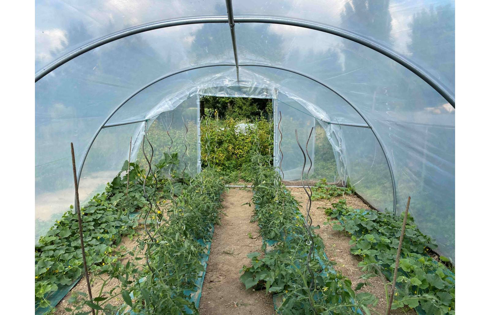 Serre tunnel de jardin - 32m² - 4 x 8 m - Abri Légumes - pieds arrondis - polyéthylène haute densité - 2 portes pivotantes - LES SERRES TONNEAU - Image 8