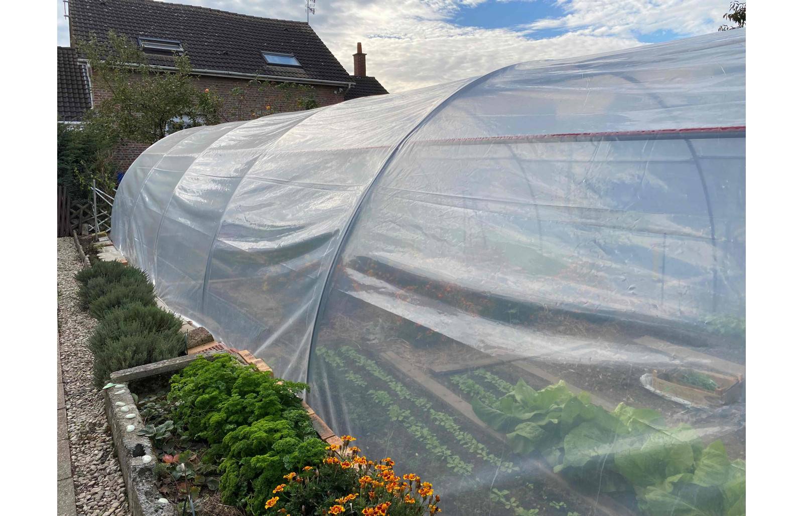 Serre tunnel de jardin - 32m² - 4 x 8 m - Abri Légumes - pieds arrondis - polyéthylène haute densité - 2 portes pivotantes - LES SERRES TONNEAU - Image 7