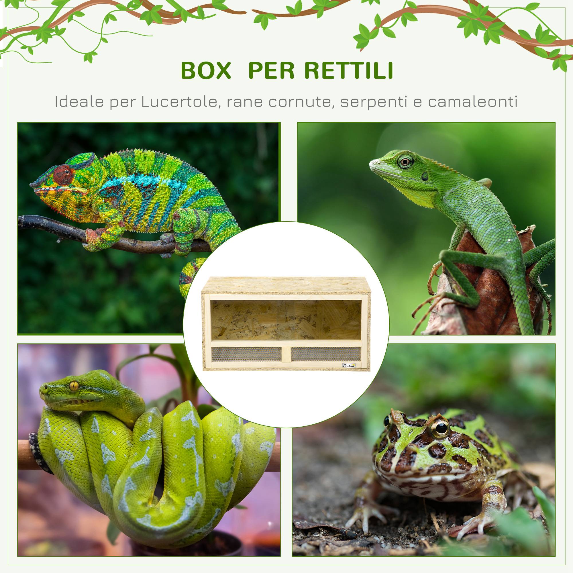 Terrarium Reptiles Bois OSB Maison Portes Verre Coulissantes 60x29cm - ComfortXL Outdoor Living - Image 6