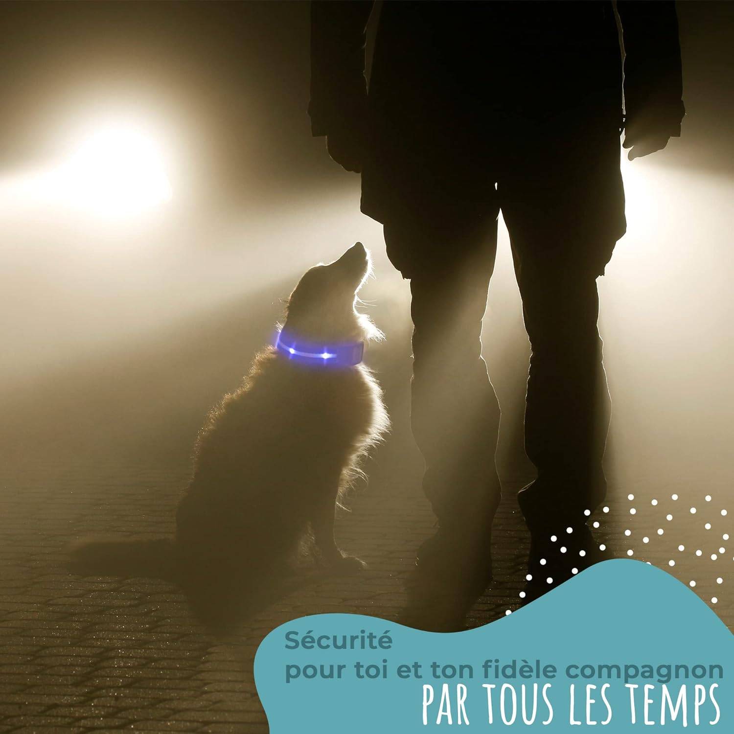 Bi International - Collier Lumineux pour Chien - Rechargeable par USB - Nylon renforcé - Haute Qualité, Stabilité & Sécurité (rosé, L) – BI International - Image 5