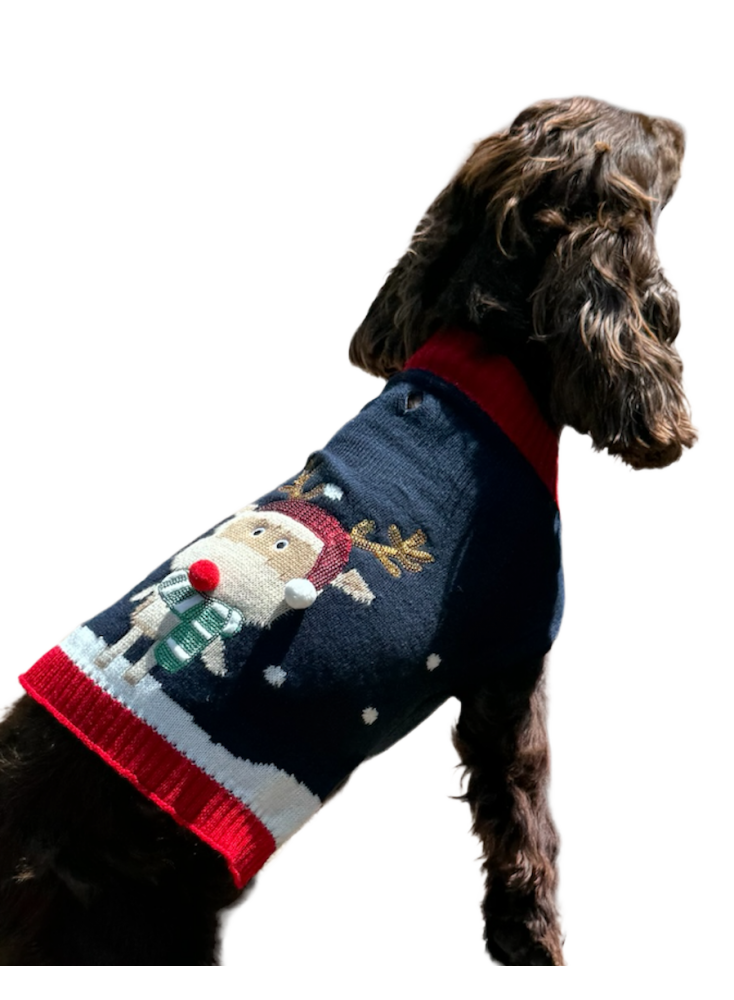 Pull noel brode renne-pour chien- deguisement tricote taille L - Mon Ami Luki - Image 4