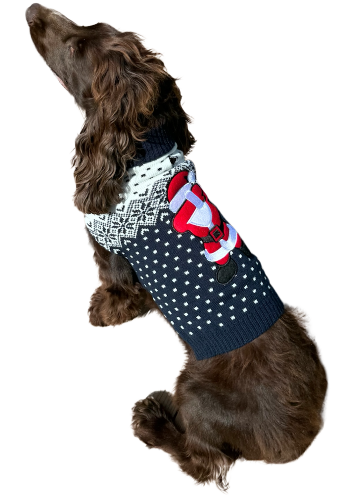Pull noel brode renne-pour chien- deguisement tricote taille L - Mon Ami Luki - Image 3