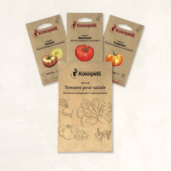 Tomates pour salade - 3 sachets de graines bio à semer - Image 2