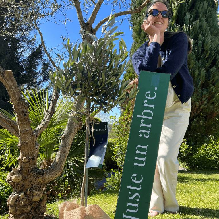 JUSTE UN ARBRE. – Châtaignier commun | Idée cadeau pour naissance, mariage, anniversaire – Idéal pour grands jardins. - Image 7