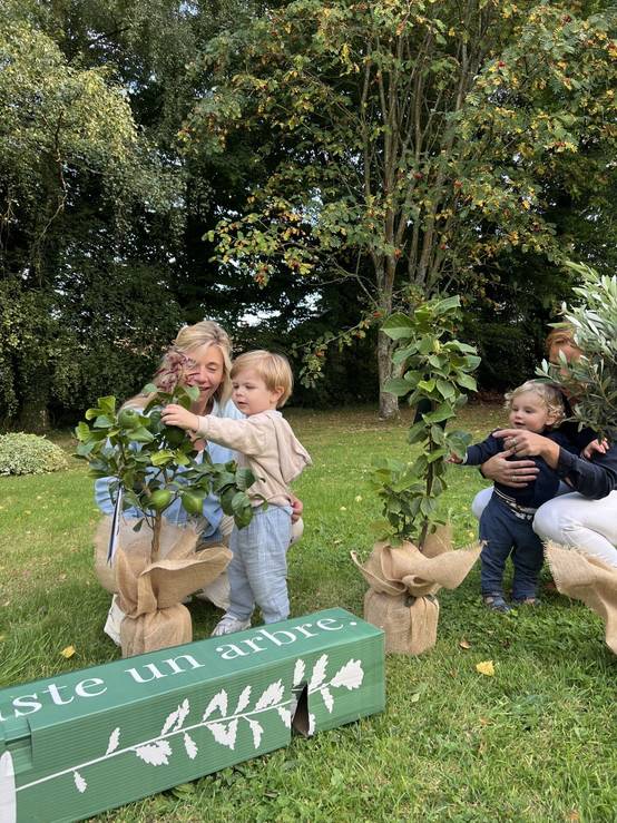 JUSTE UN ARBRE. – Châtaignier commun | Idée cadeau pour naissance, mariage, anniversaire – Idéal pour grands jardins. - Image 5