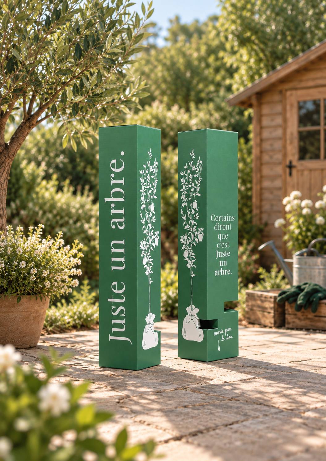 Juste Un Arbre - JUSTE UN ARBRE. – Châtaignier commun | Idée cadeau pour naissance, mariage, anniversaire – Idéal pour grands jardins. - Image 4