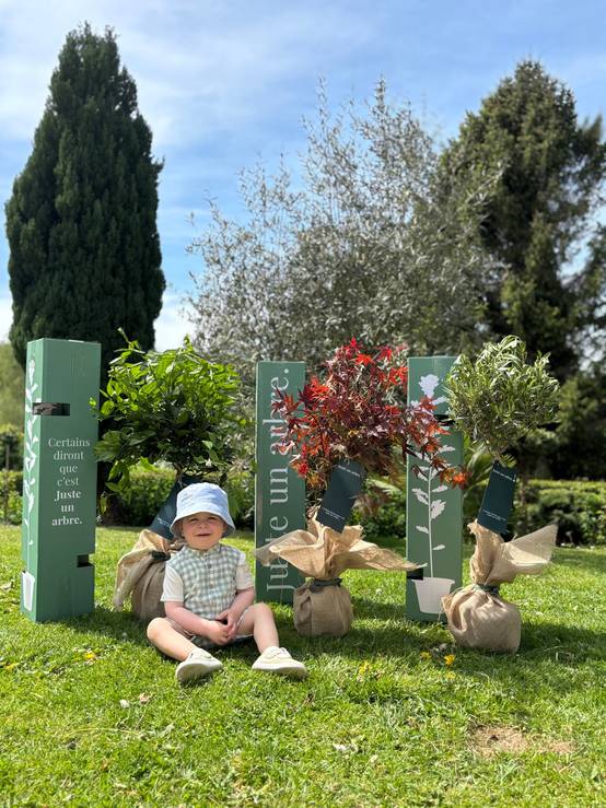 JUSTE UN ARBRE. – Châtaignier commun | Idée cadeau pour naissance, mariage, anniversaire – Idéal pour grands jardins. - Image 4