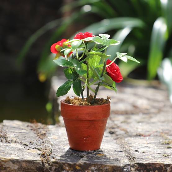 ~Rosier plante fleur artificielle extérieur cimetière tissu rouge 12cm Chemin de campagne - Image 4