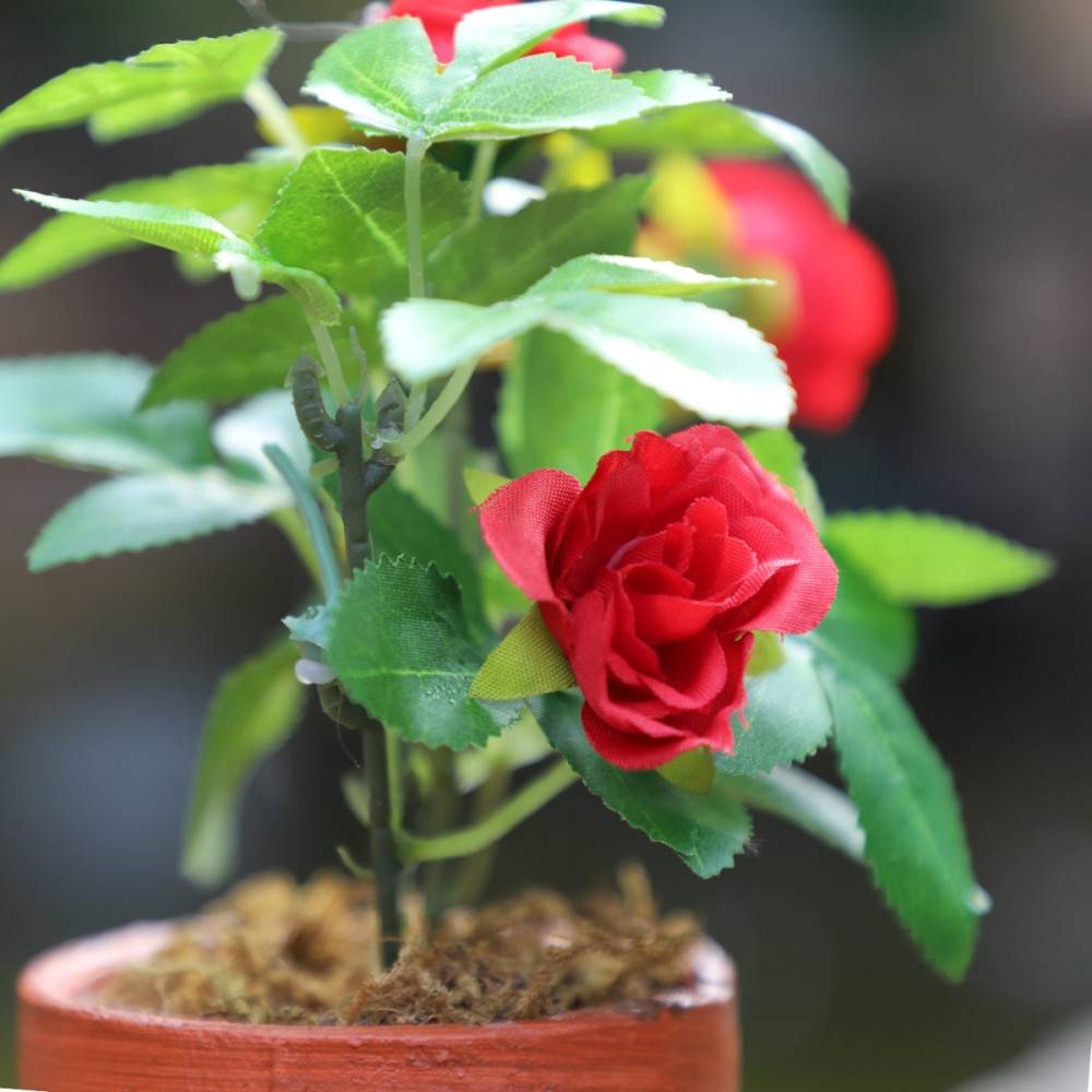 ~Rosier plante fleur artificielle extérieur cimetière tissu rouge 12cm Chemin de campagne - Image 6