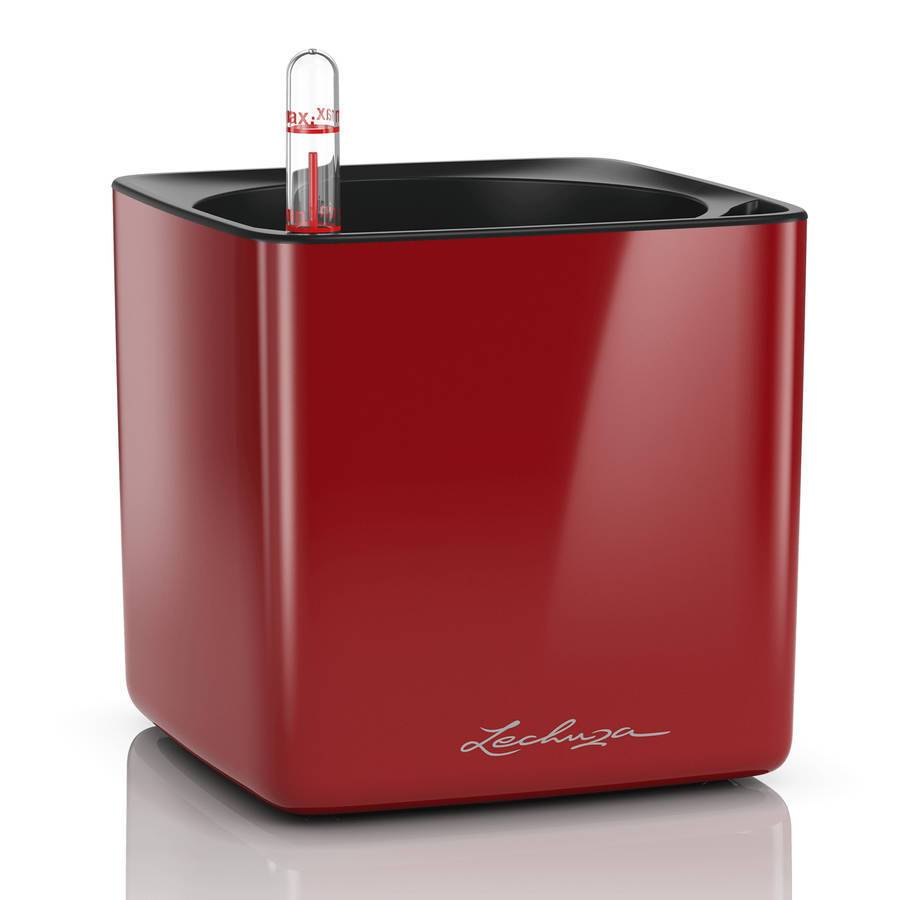 Lechuza - Cube Glossy  14 - 14x14x14 cm - Kit Complet, rouge scarlet ultra brillant Lechuza