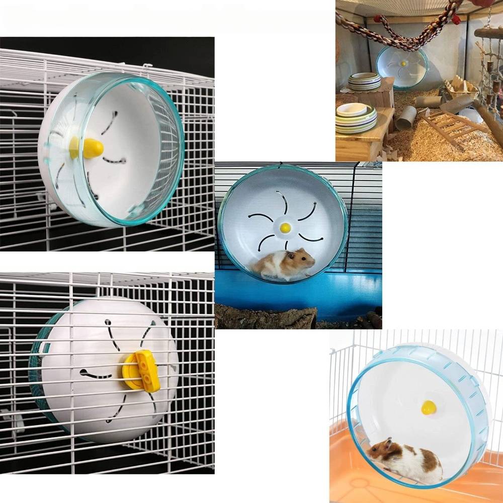 Roue d'exercice pour petits animaux - IntiMeg - Image 5