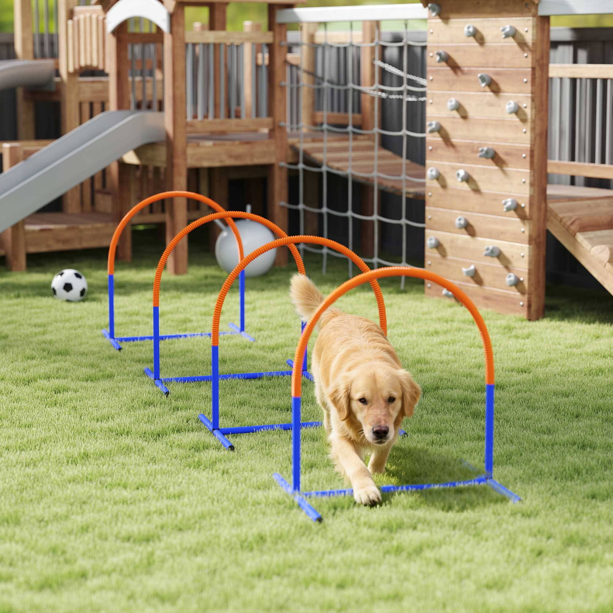 ComfortXL - Parcours agilité chien 4 arceaux bleu orange 88 x 64 x 95 cm entraînement doux - ComfortXL Outdoor Living - Image 3