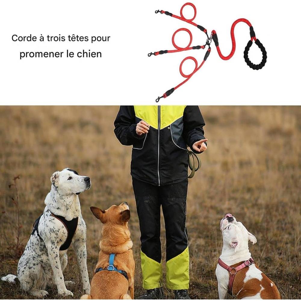 DtopbuyAge - Corde de traction pour chien avec boucle rotative 360° DtopbuyAge - Image 4