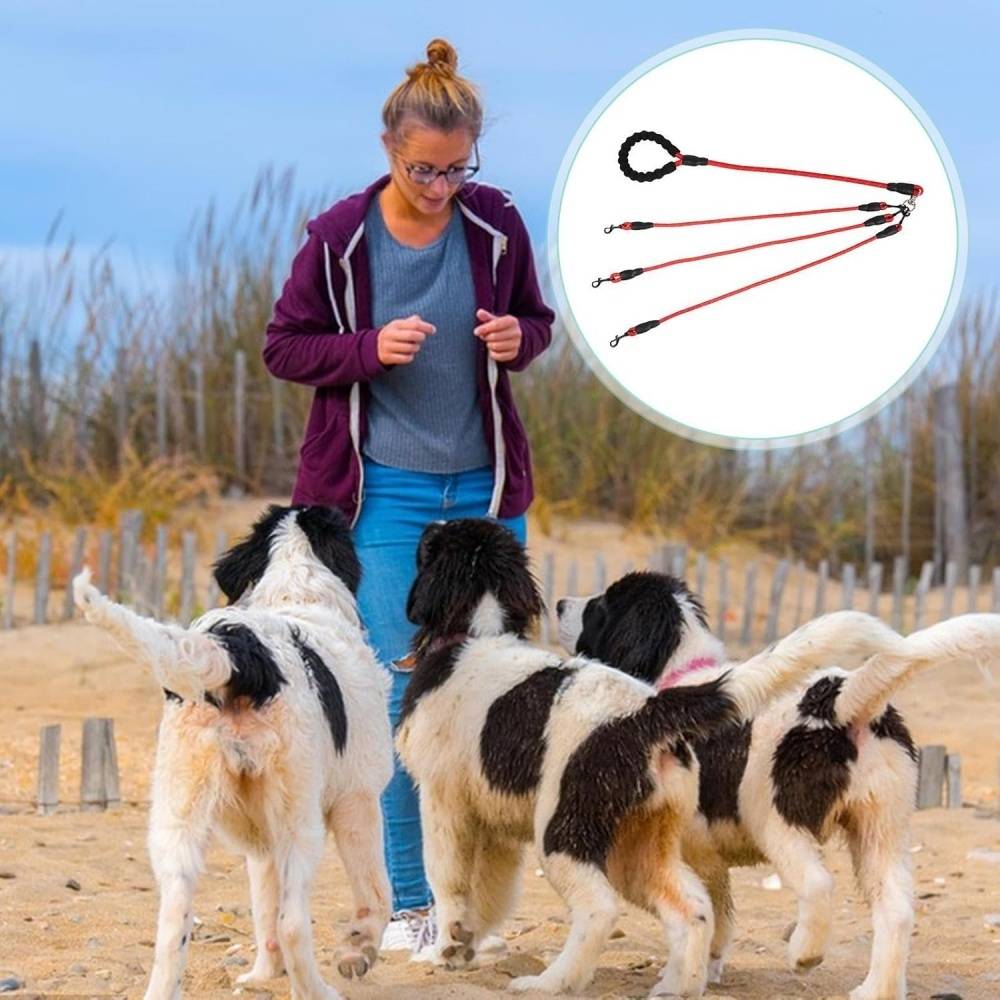 DtopbuyAge - Corde de traction pour chien avec boucle rotative 360° DtopbuyAge - Image 2