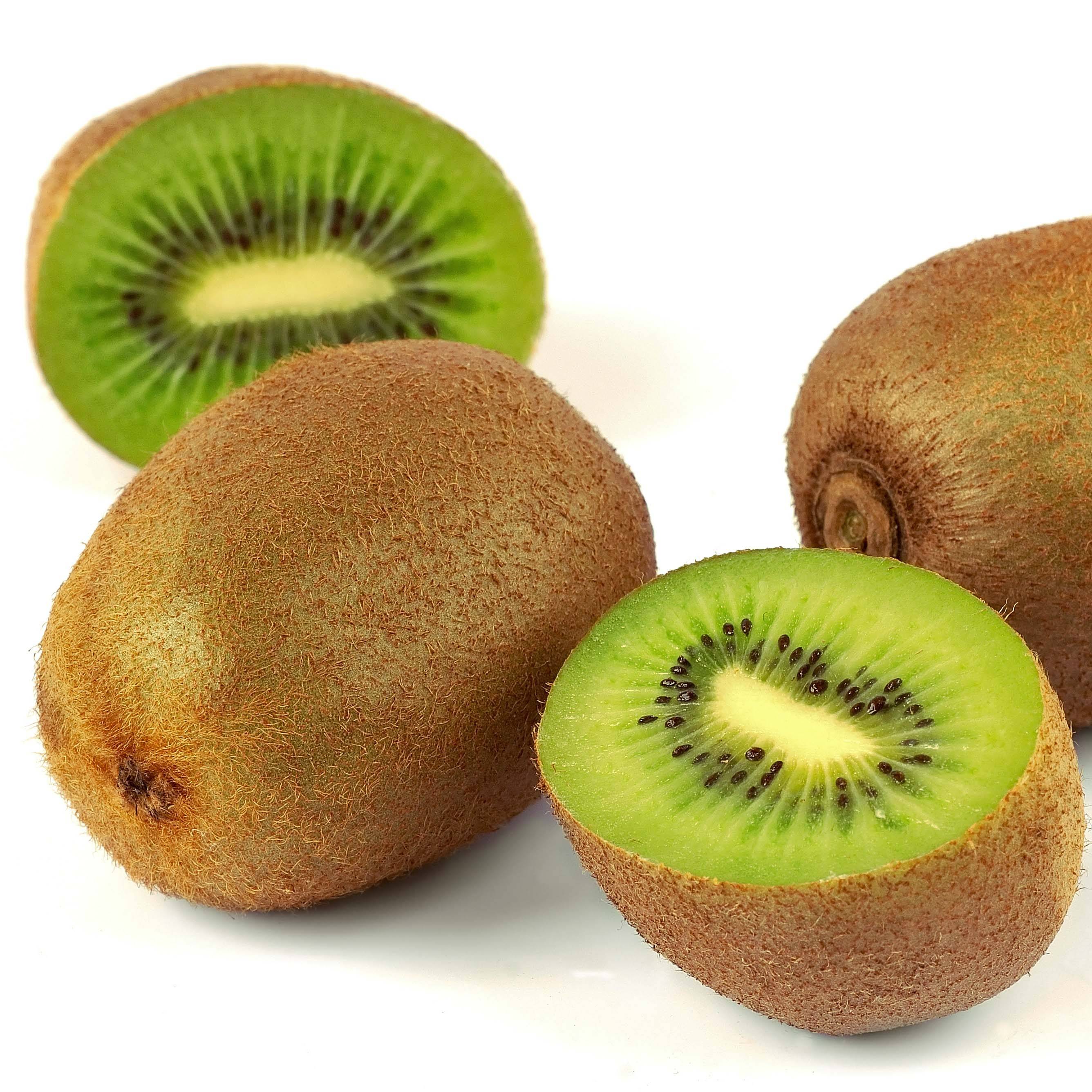 Kiwi mâle - Actinidia deliciosa Belen Pot de 2L/3L