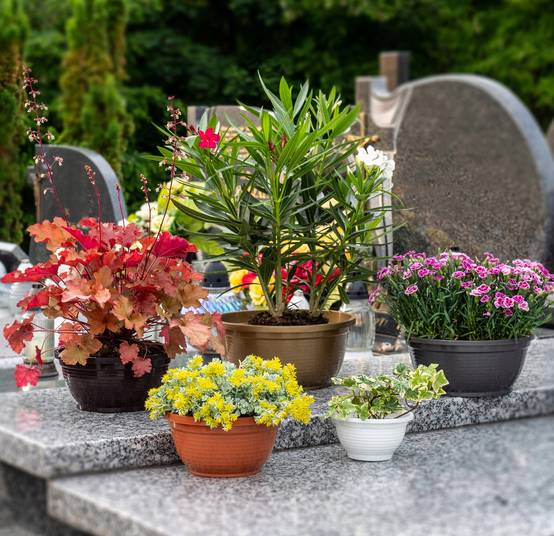 Bol de Cimetière Pierre Tombale en Plastique Pot de Fleur de Cimetière 18 cm - Image 6