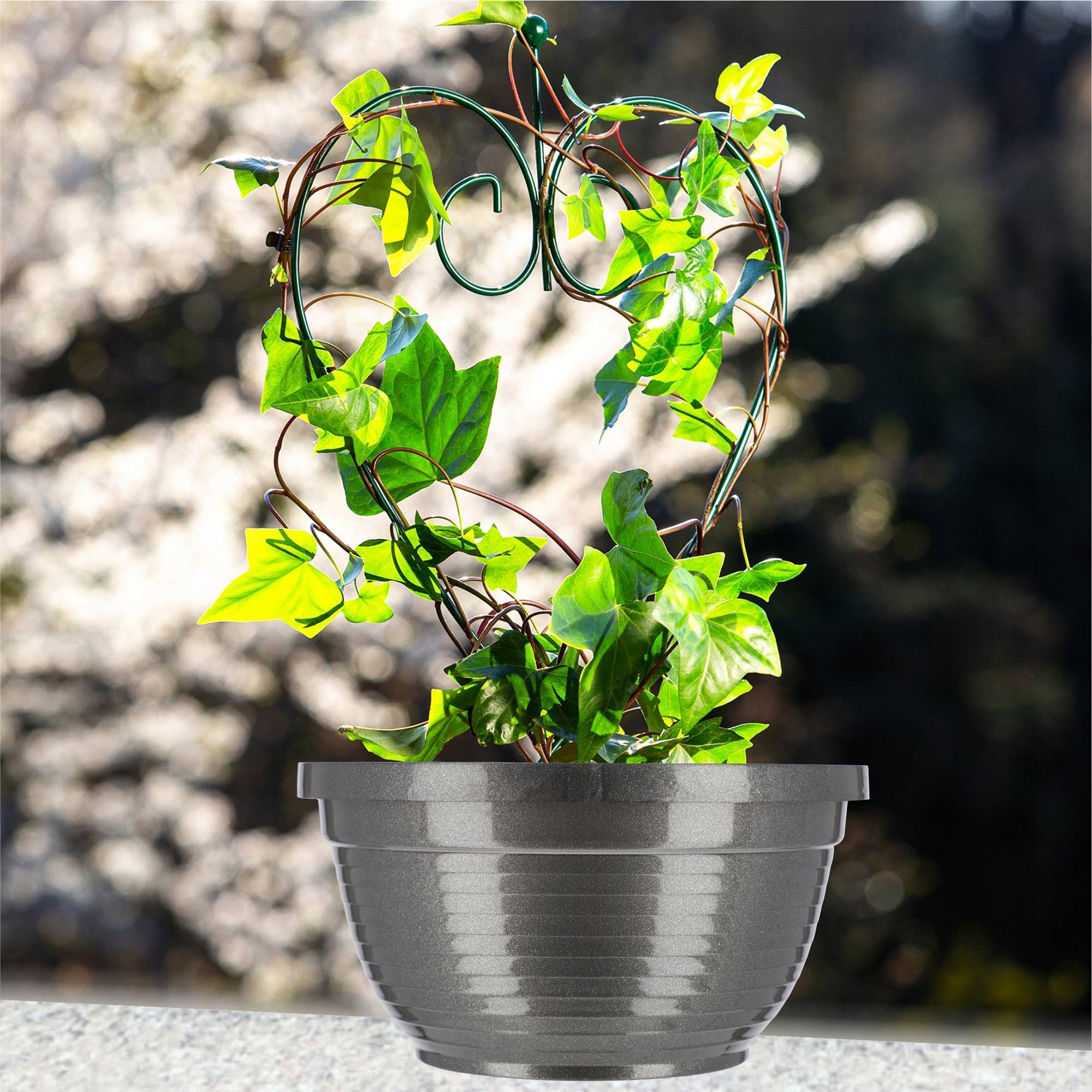 Bol de Cimetière Pierre Tombale en Plastique Pot de Fleur de Cimetière 18 cm - Image 7