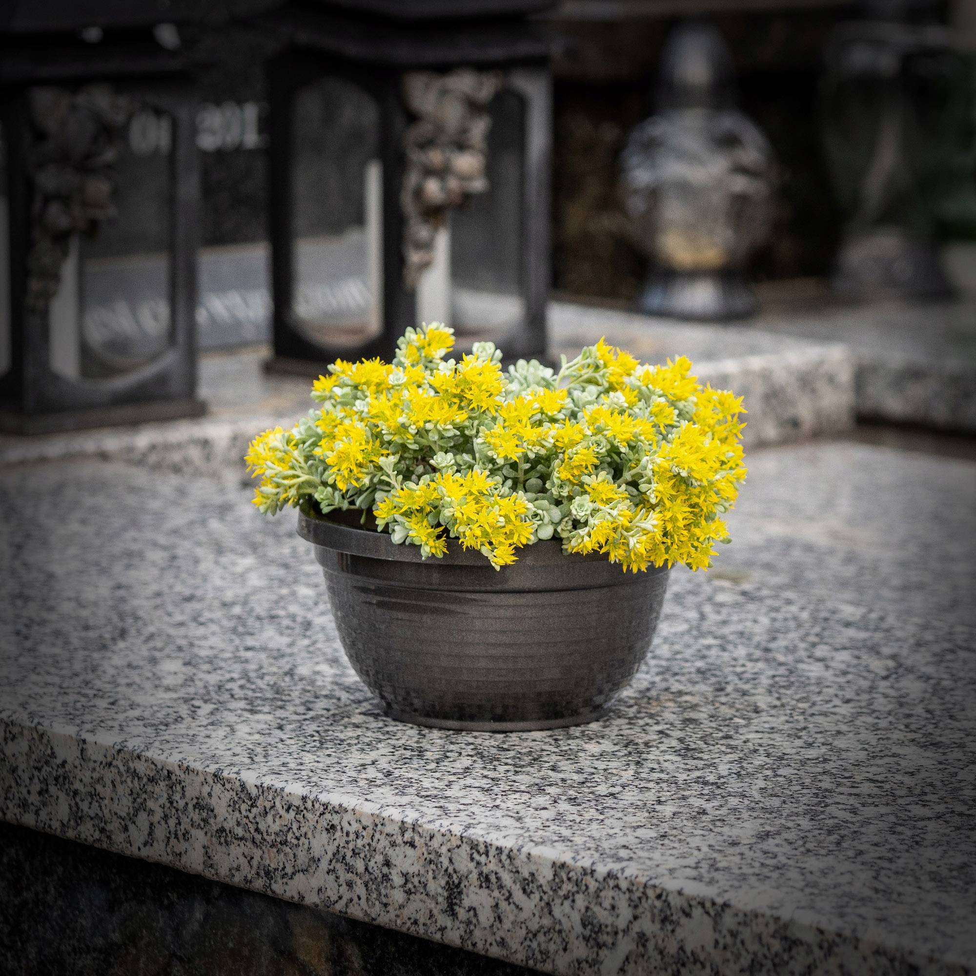 Bol de Cimetière Pierre Tombale en Plastique Pot de Fleur de Cimetière 18 cm - Image 5