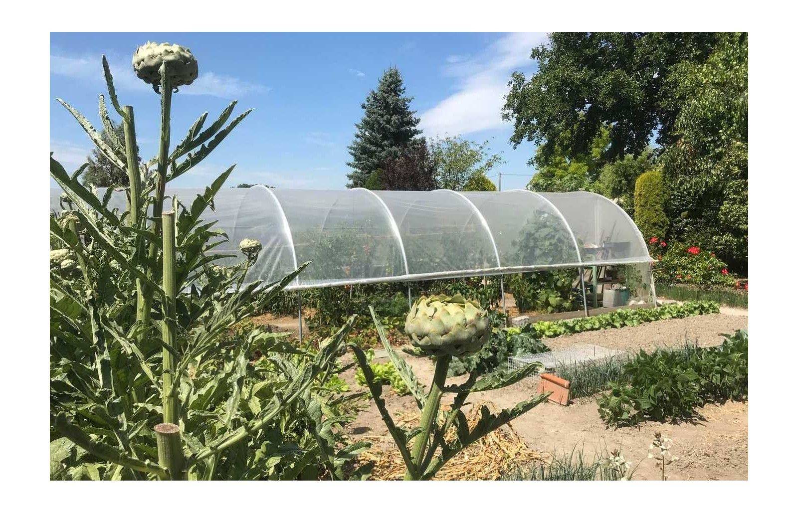 Serre tunnel de jardin - 44m² - 3,7 x 12 m - pieds arrondis - polyéthylène haute densité - aérations latérales - LES SERRES TONNEAU - Image 8