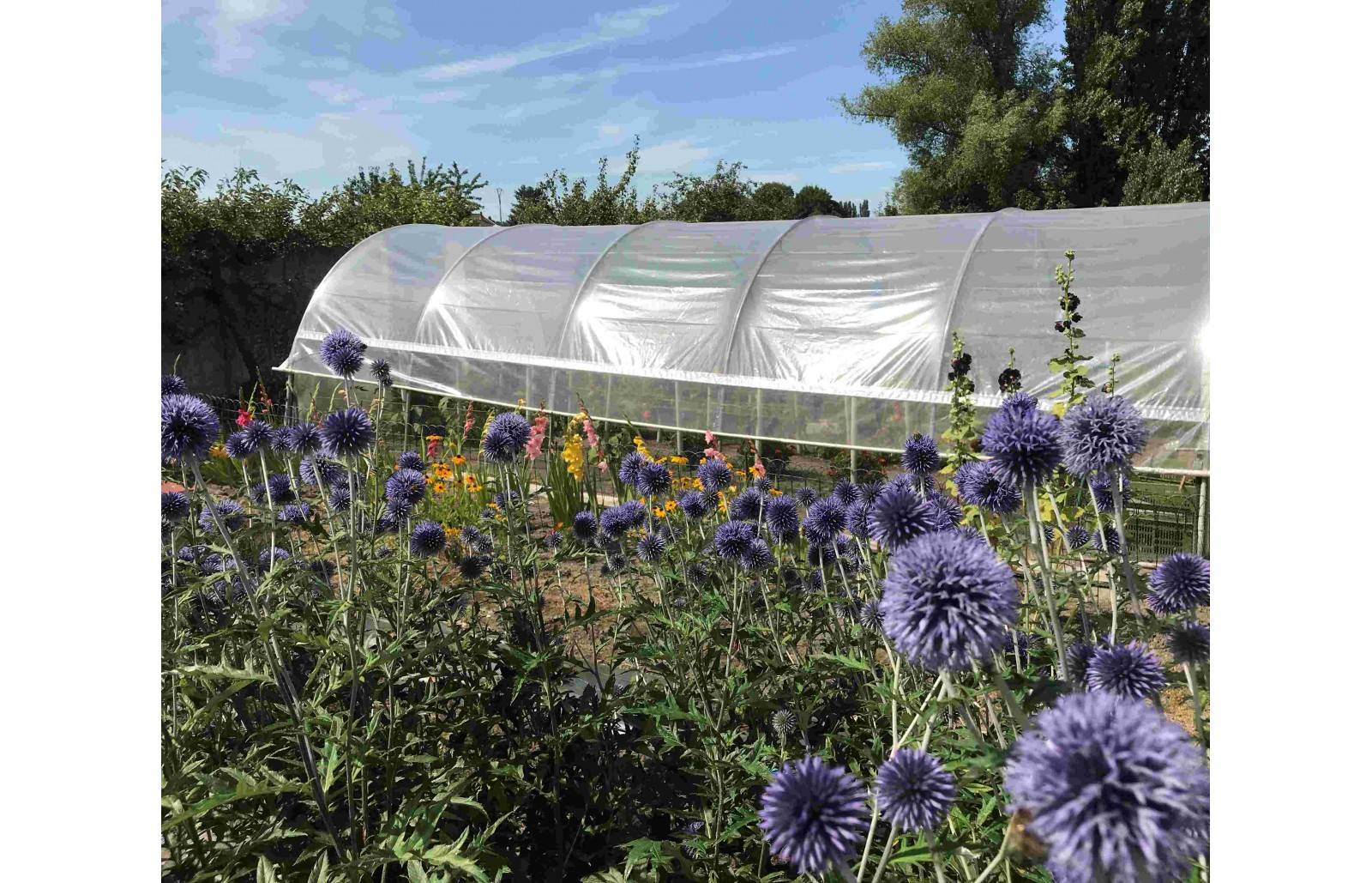 Serre tunnel de jardin - 44m² - 3,7 x 12 m - pieds arrondis - polyéthylène haute densité - aérations latérales - LES SERRES TONNEAU - Image 5