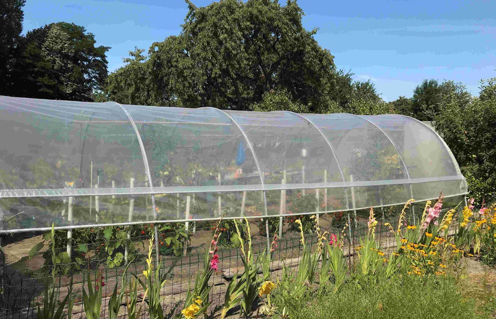 Serre tunnel de jardin - 44m² - 3,7 x 12 m - pieds arrondis - polyéthylène haute densité - aérations latérales - LES SERRES TONNEAU - Image 1