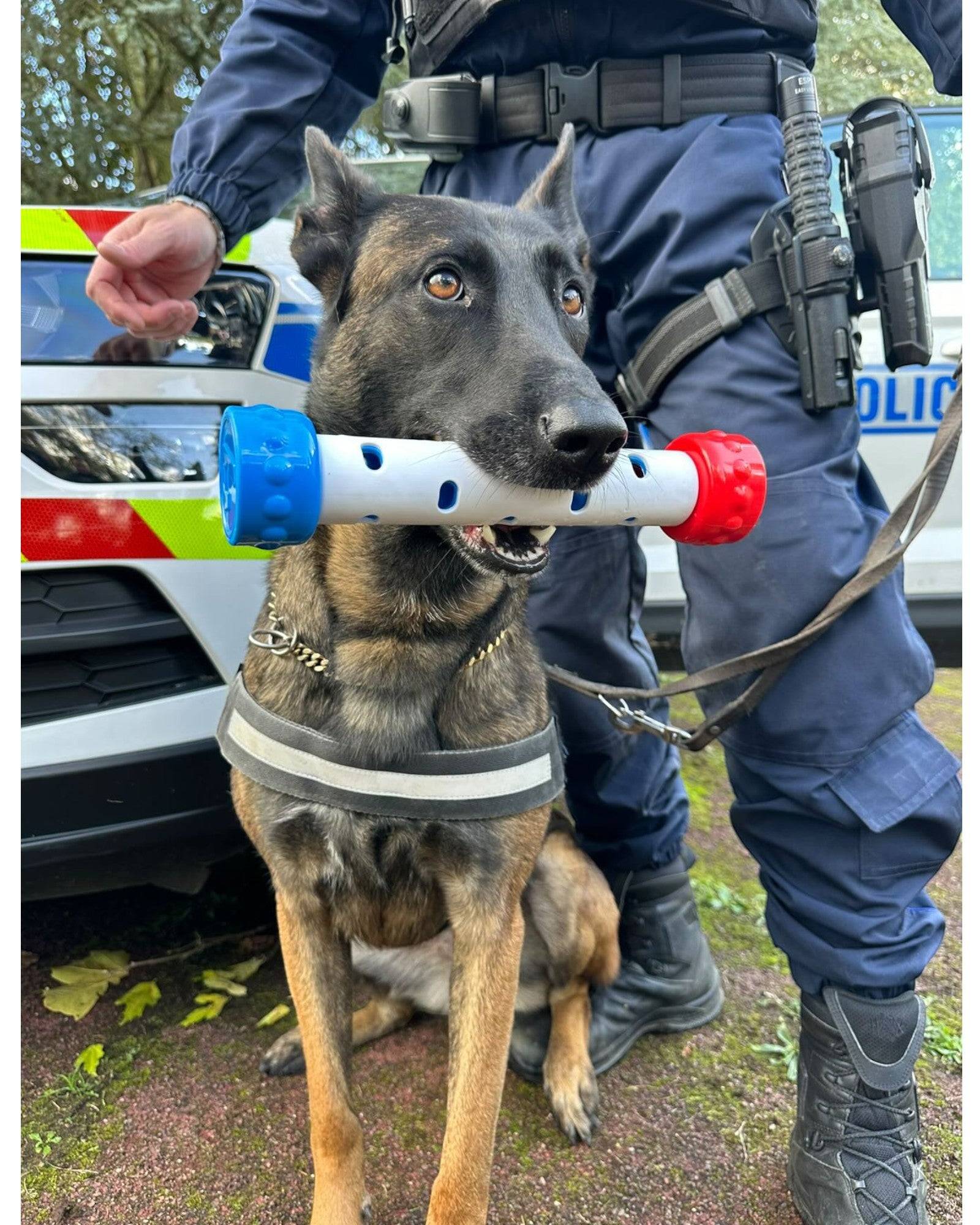 France Croquettes - France Croquettes Jouet de détection d'odeur pour chien - Bleu/blanc/rouge - Image 3