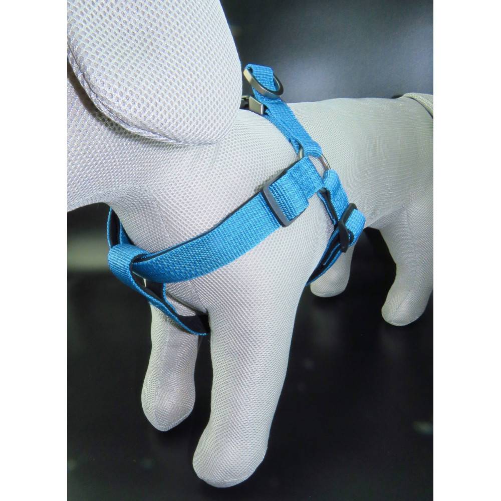Flamingo - Harnais Jannu bleu taille XL 60-90 cm 25 mm pour chien - Image 6
