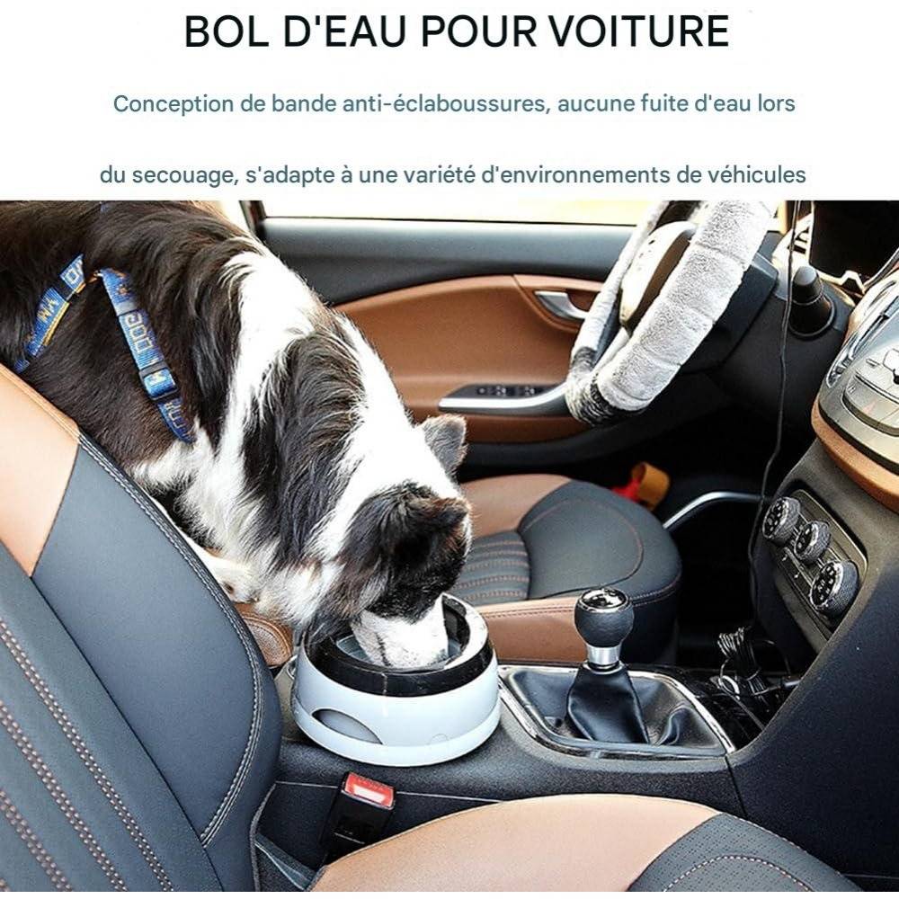 Gamelle D'eau Pour Chiens PP Haute Qualité Non Toxique, Conception Anti-Éclaboussures Grise - Lytech - Image 3