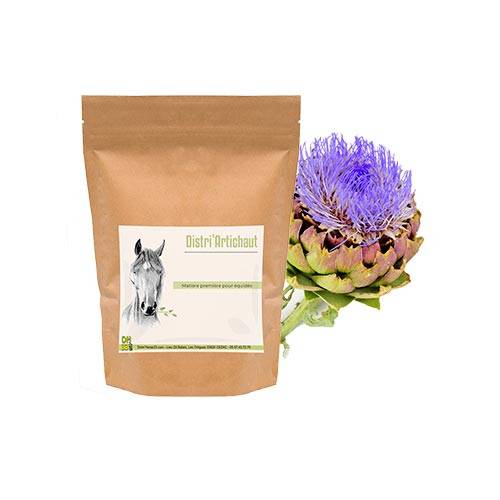 Artichaut Cheval - Drainant naturel - 900g - Distri’Horse33 - Image 2