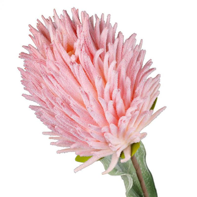 Fleur Artificielle Dofrie Rose Poudré Tige Géante 100cm - Image 3