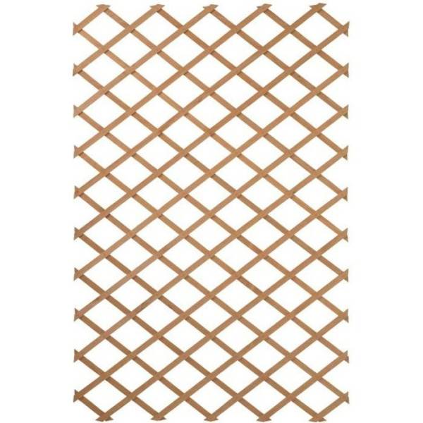 Nature - Nature Treillis de jardin 100 x 300 cm Bois Marron 419779