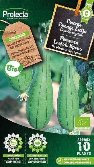 Protecta - Semence Courge Eponge Luffa BIO - Protecta