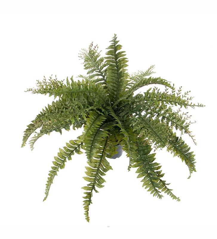 Artificielles - Fougère de boston artificielle H 45 cm D 65 cm en pot - Image 1