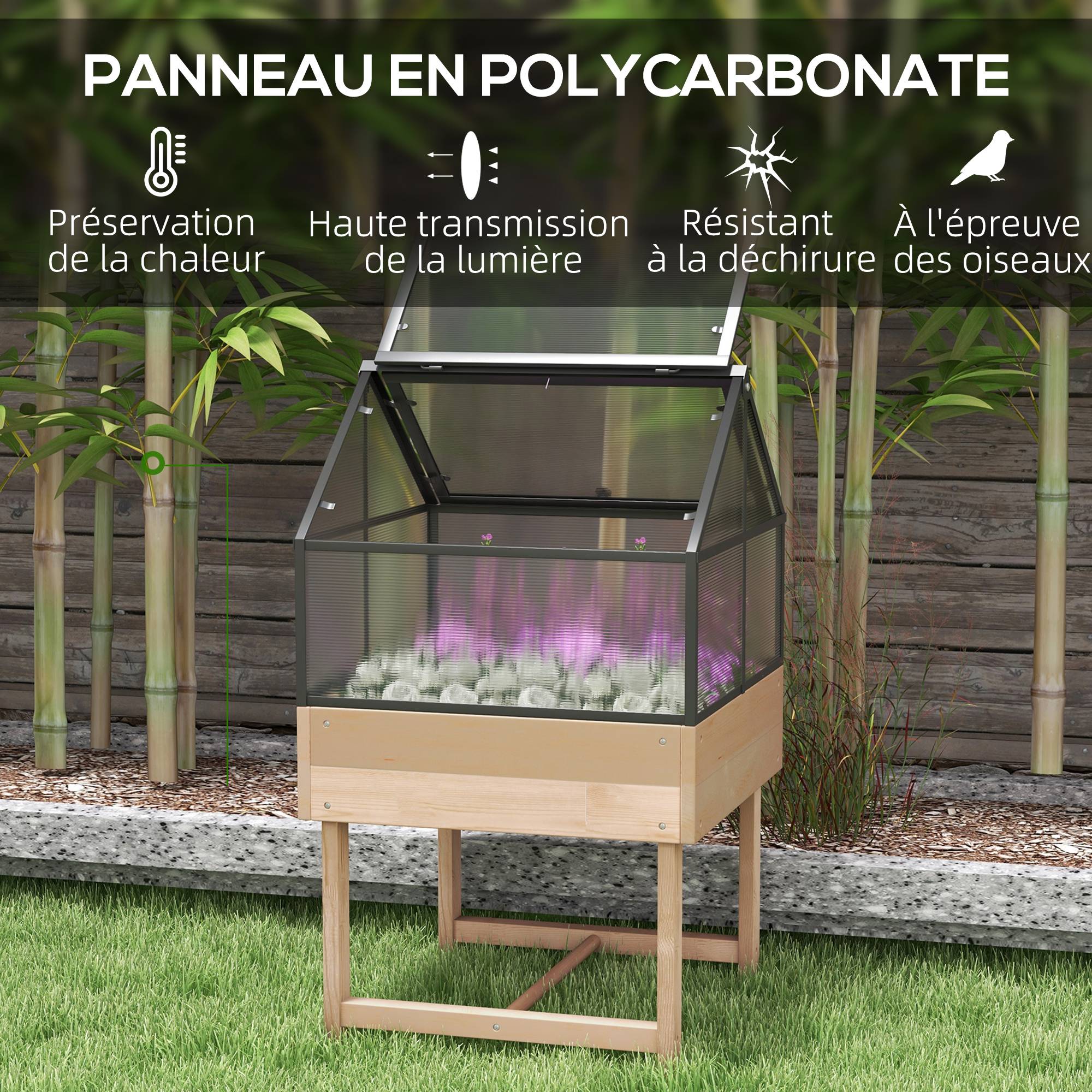 Mini serre sur pieds bois et polycarbonate balcon protection hivernale naturel - ComfortXL Outdoor Living - Image 6