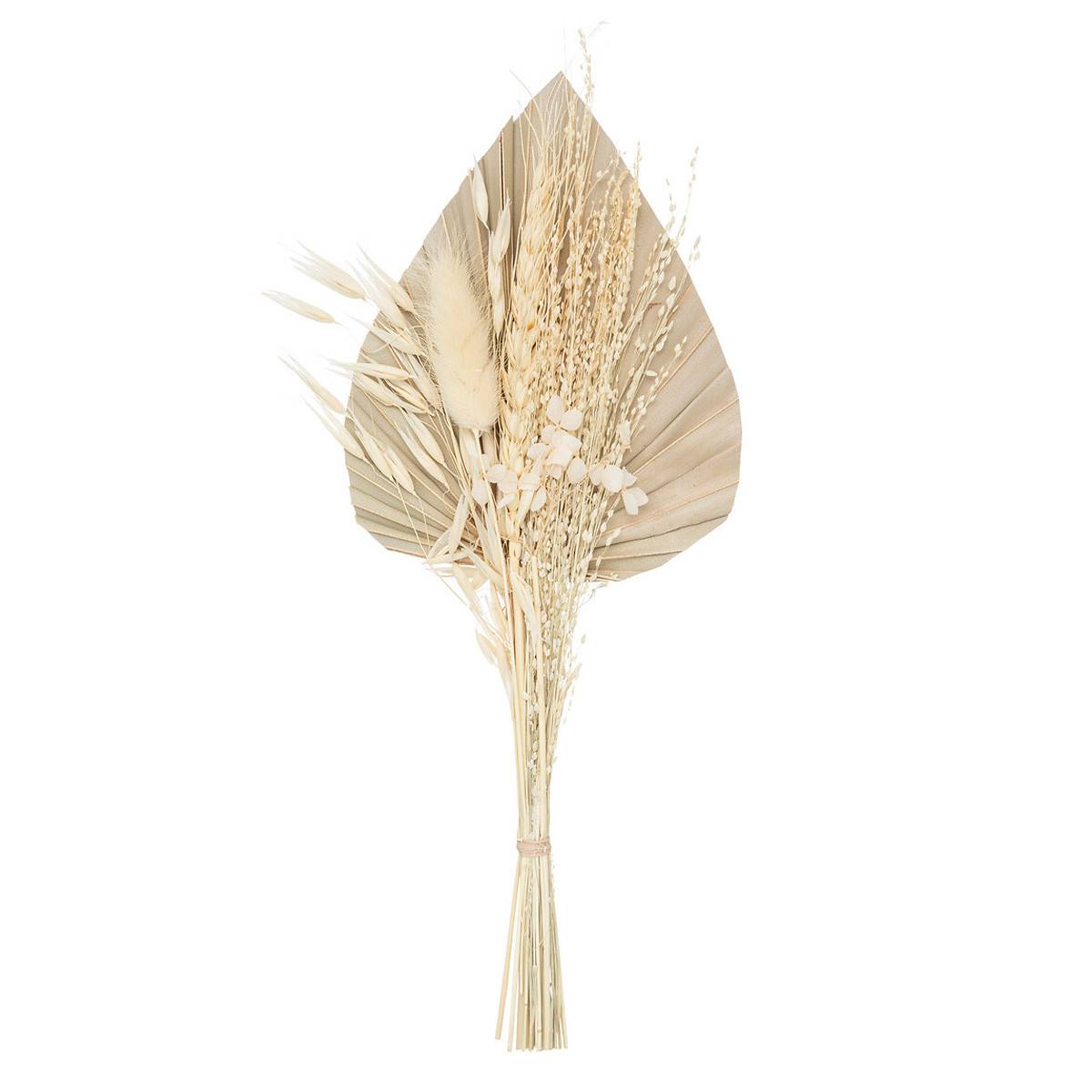 Mini Bouquet de Fleurs Naturelles "Seav" 30cm Beige - Image 1