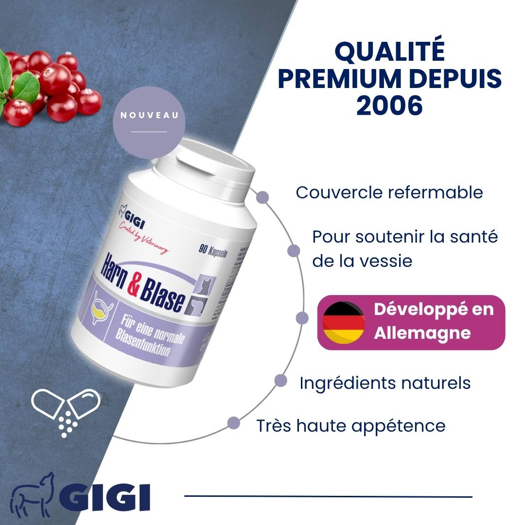 Soutien Vessie & Urinaire Chiens & Chats 90 capsules GIGI VET - Image 3