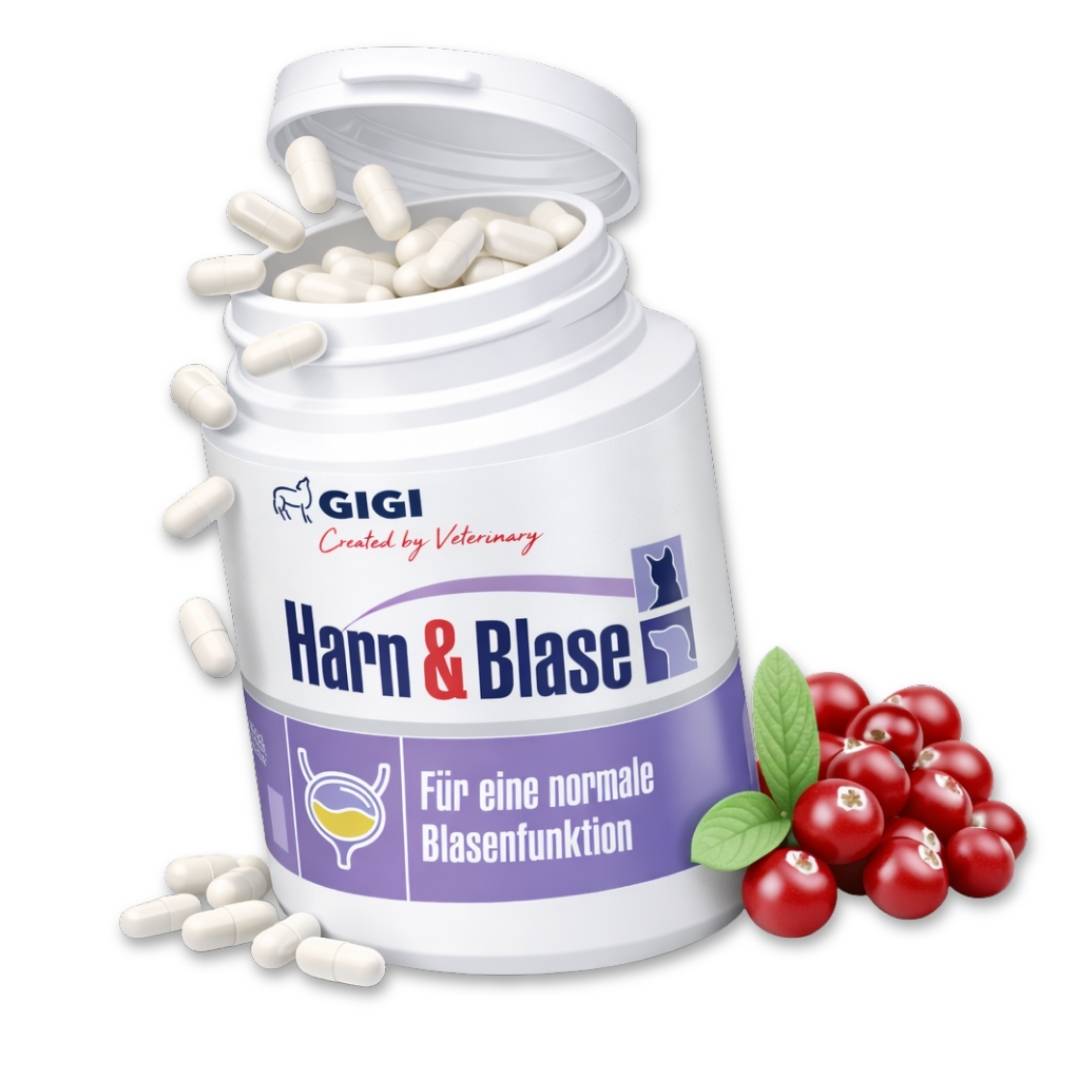 Soutien Vessie & Urinaire Chiens & Chats 90 capsules GIGI VET