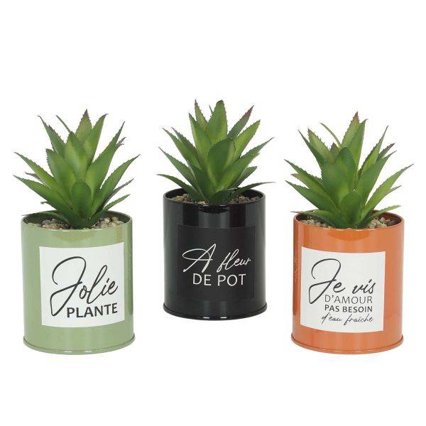 Ligne Deco - Succulentes artificielles dans pots colorés 17 cm (Lot de 3) Ligne Deco - Image 1