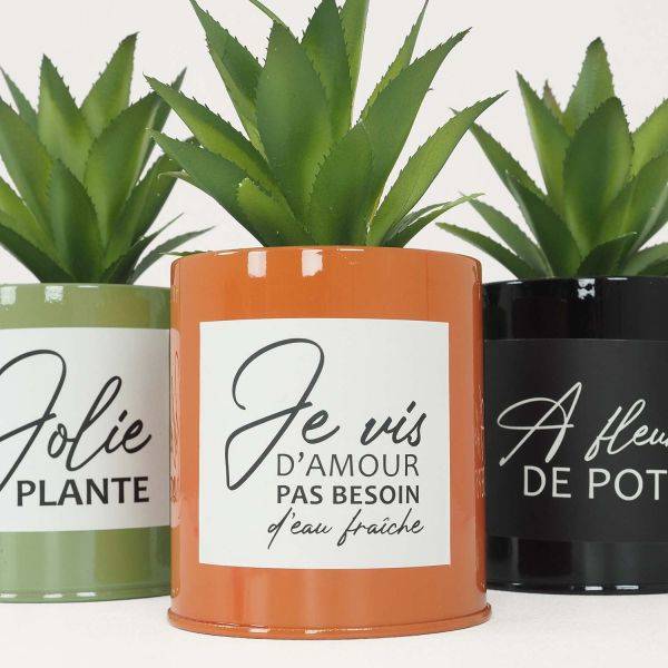 Ligne Deco - Succulentes artificielles dans pots colorés 17 cm (Lot de 3) Ligne Deco - Image 3