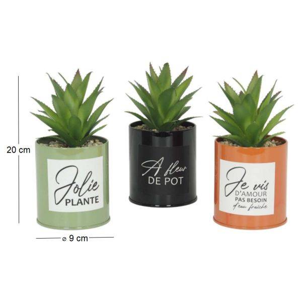 Ligne Deco - Succulentes artificielles dans pots colorés 17 cm (Lot de 3) Ligne Deco - Image 4