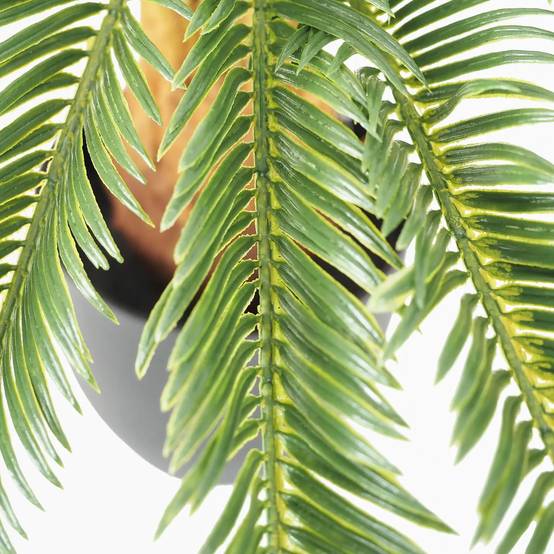 Ligne Deco - Palmier artificiel cycas 70cm - Image 4