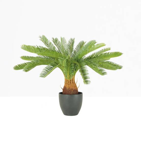 Ligne Deco - Palmier artificiel cycas 70cm - Image 2