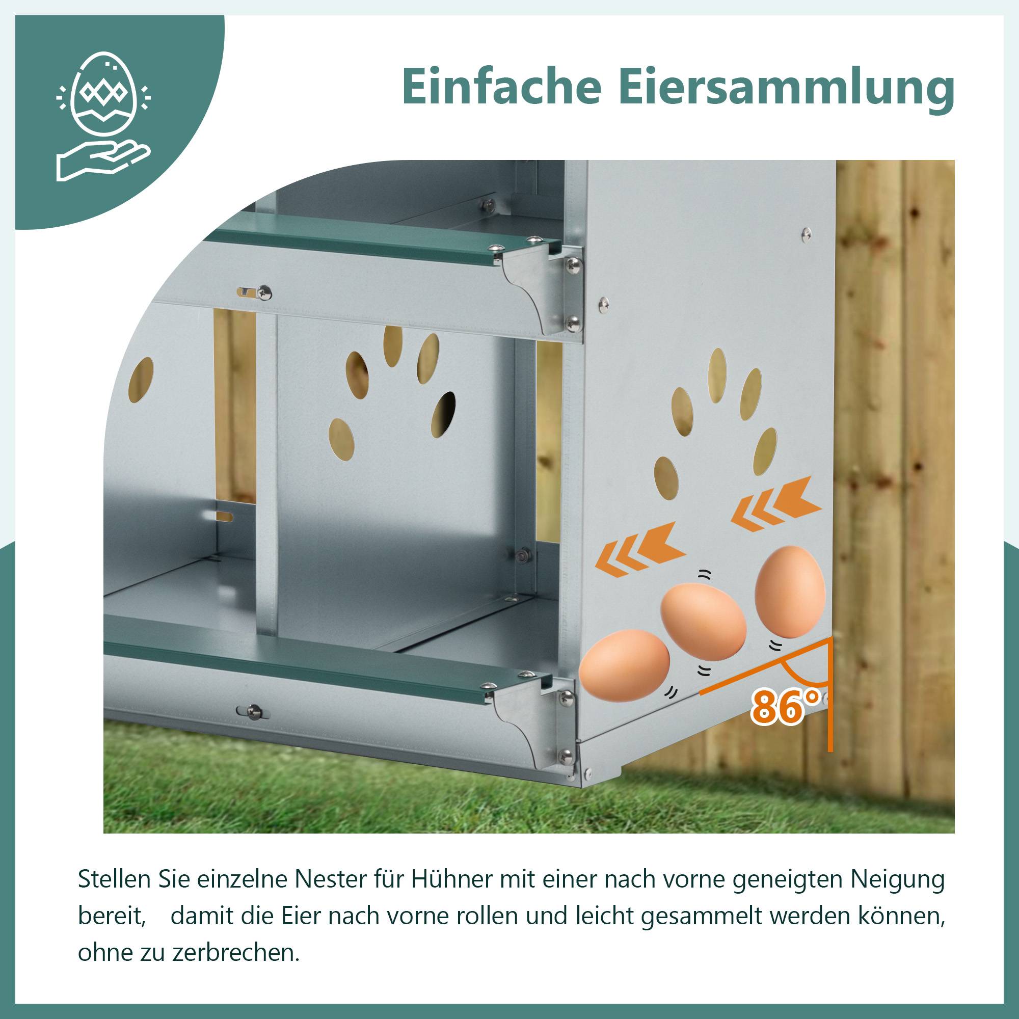 ComfortXL - Pondoir poule 6 compartiments acier pour poulailler ramassage facile 81x41x67cm vert - ComfortXL Outdoor Living - Image 4